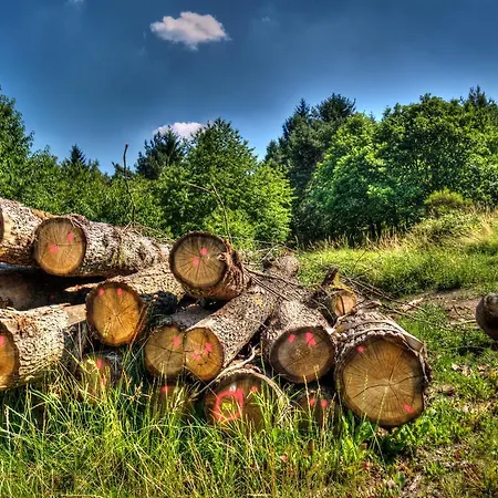 בית הארחה B&B Briedel 3*