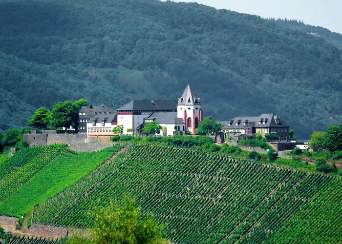 B&B Briedel 3* 브리에델