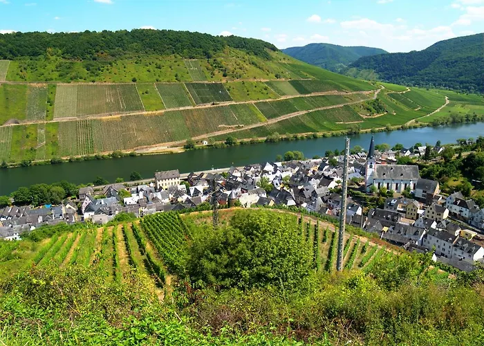 B&B Briedel 게스트하우스 브리에델