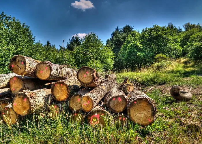 게스트하우스 B&B Briedel 3*